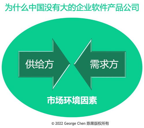 為何中國企業軟件市場未現巨頭？探析背后的多重因素